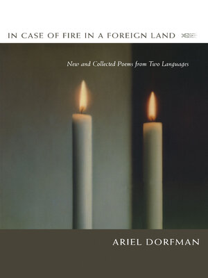 cover image of In Case of Fire in a Foreign Land